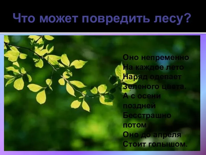 Что может повредить лесу? Оно непременно На каждое лето Наряд одевает Зеленого цвета.