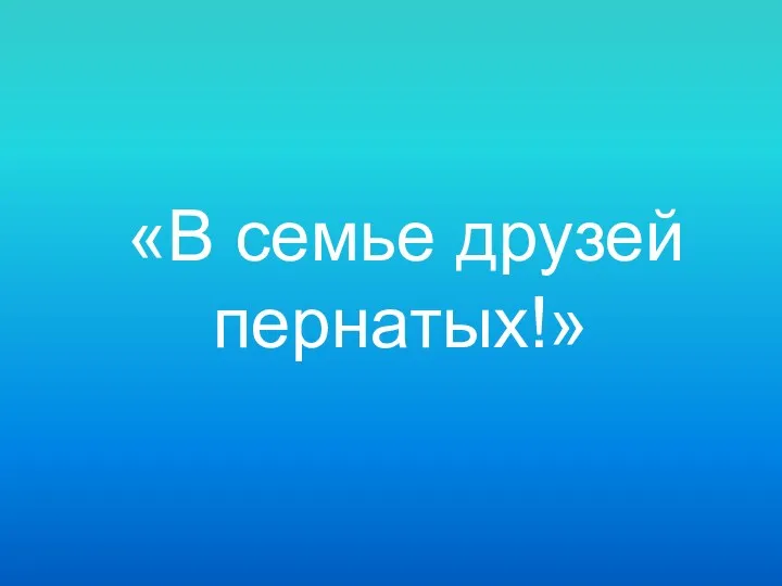 «В семье друзей пернатых!»