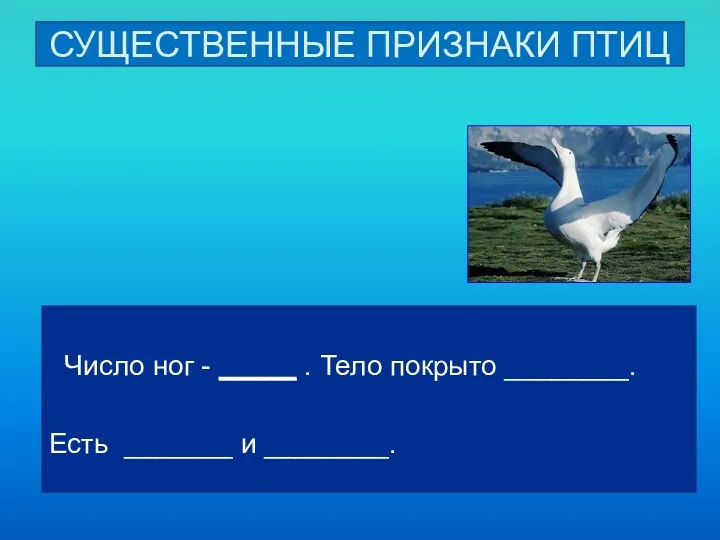 СУЩЕСТВЕННЫЕ ПРИЗНАКИ ПТИЦ Число ног - _____ . Тело покрыто ________. Есть _______ и ________.