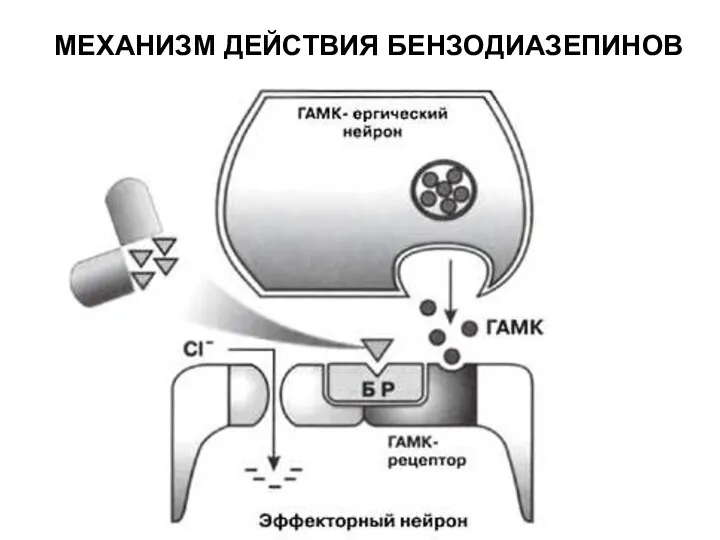 МЕХАНИЗМ ДЕЙСТВИЯ БЕНЗОДИАЗЕПИНОВ