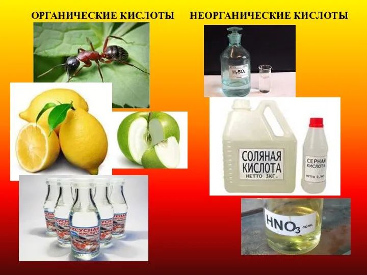 ОРГАНИЧЕСКИЕ КИСЛОТЫ НЕОРГАНИЧЕСКИЕ КИСЛОТЫ