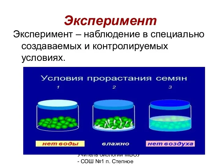 Учитель биологии МБОУ - СОШ №1 п. Степное Викулова Е.В.