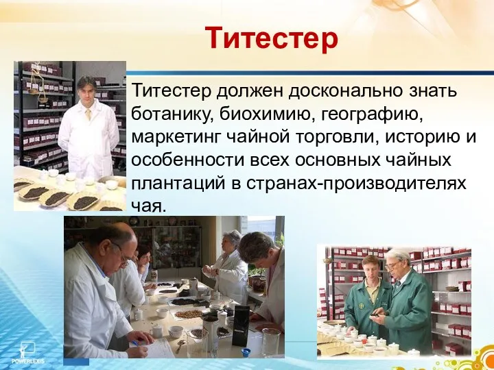 Титестер Титестер должен досконально знать ботанику, биохимию, географию, маркетинг чайной