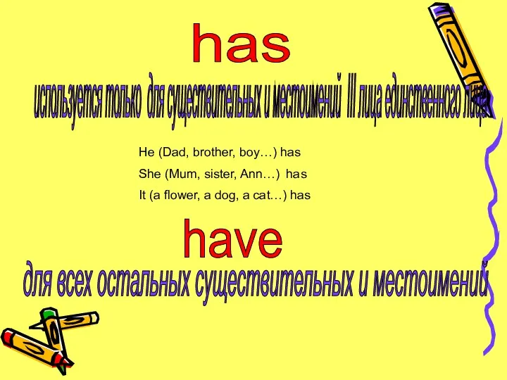 has используется только для существительных и местоимений III лица единственного