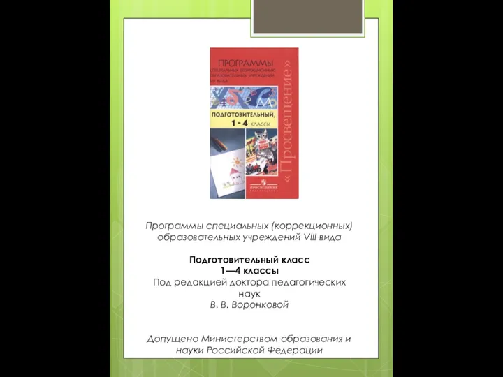 Программы специальных (коррекционных) образовательных учреждений VIII вида Подготовительный класс 1—4