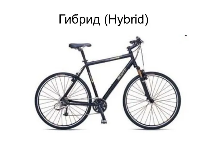 Гибрид (Hybrid)