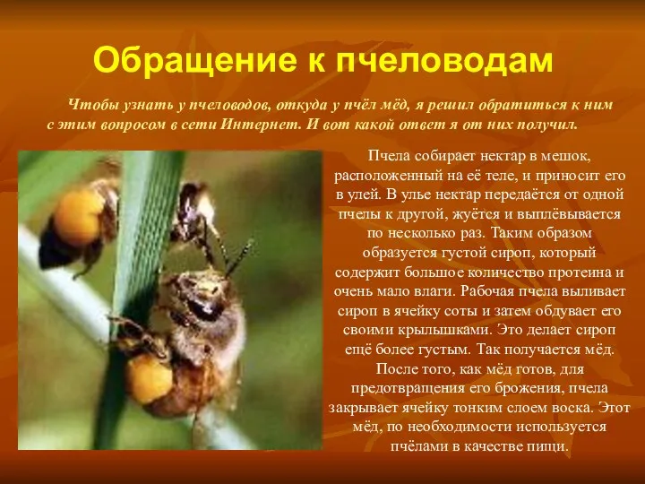 Обращение к пчеловодам Чтобы узнать у пчеловодов, откуда у пчёл