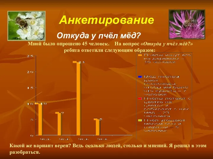 Анкетирование Мной было опрошено 45 человек. На вопрос «Откуда у