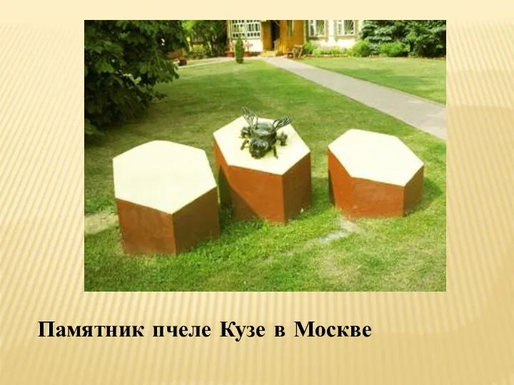 Памятник пчеле Кузе в Москве