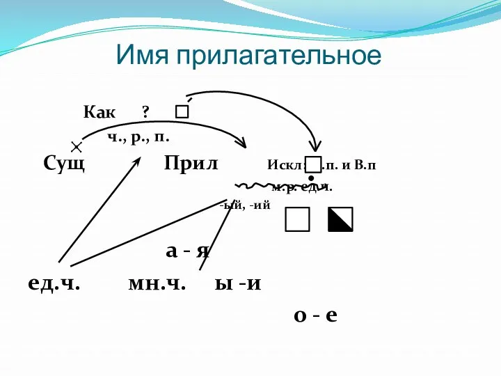 Имя прилагательное Как ? ч., р., п. Сущ Прил Искл: