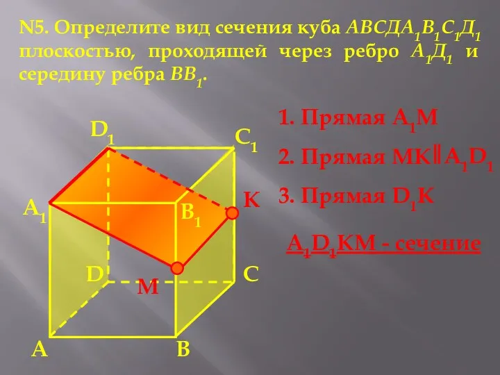 А А1 В1 С1 D1 D С N5. Определите вид сечения куба АВСДА1В1С1Д1