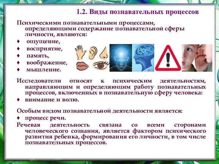 Психическими познавательными процессами, определяющими содержание познавательной сферы личности, являются: ощущение,