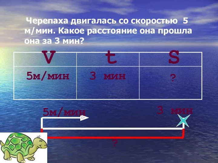 Черепаха двигалась со скоростью 5 м/мин. Какое расстояние она прошла она за 3