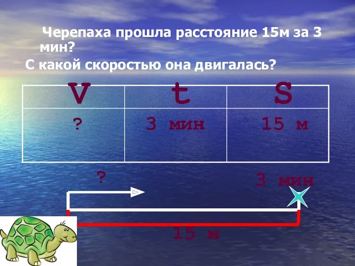 Черепаха прошла расстояние 15м за 3 мин? С какой скоростью