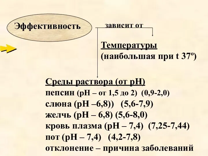 зависит от Температуры (наибольшая при t 37º) Среды раствора (от