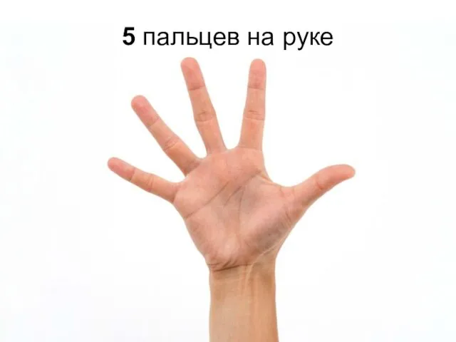 5 пальцев на руке