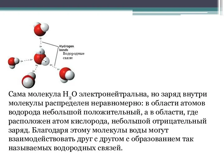 Сама молекула Н2O электронейтральна, но заряд внутри молекулы распределен неравномерно: