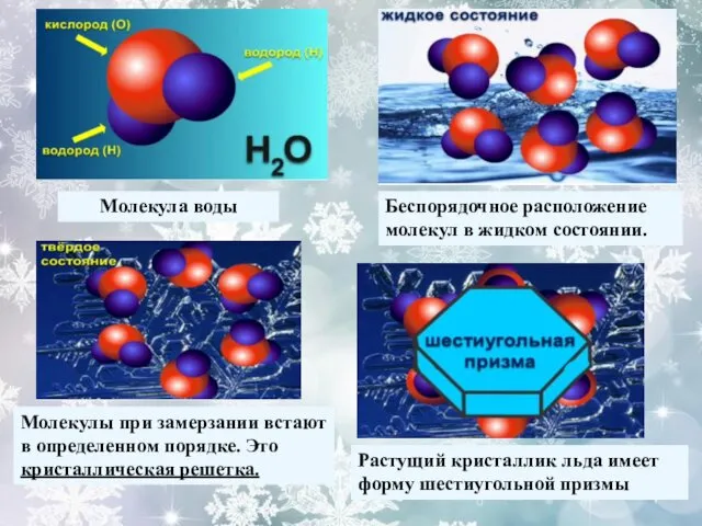 Молекула воды Беспорядочное расположение молекул в жидком состоянии. Молекулы при