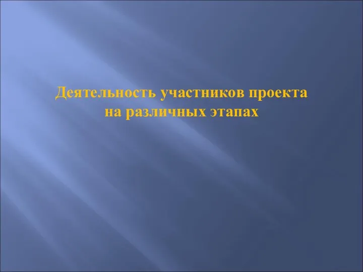 Деятельность участников проекта на различных этапах