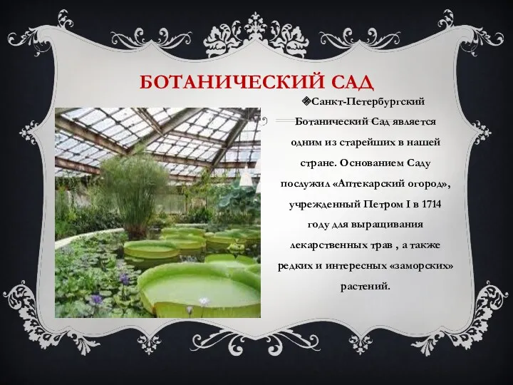 Ботанический сад Санкт-Петербургский Ботанический Сад является одним из старейших в
