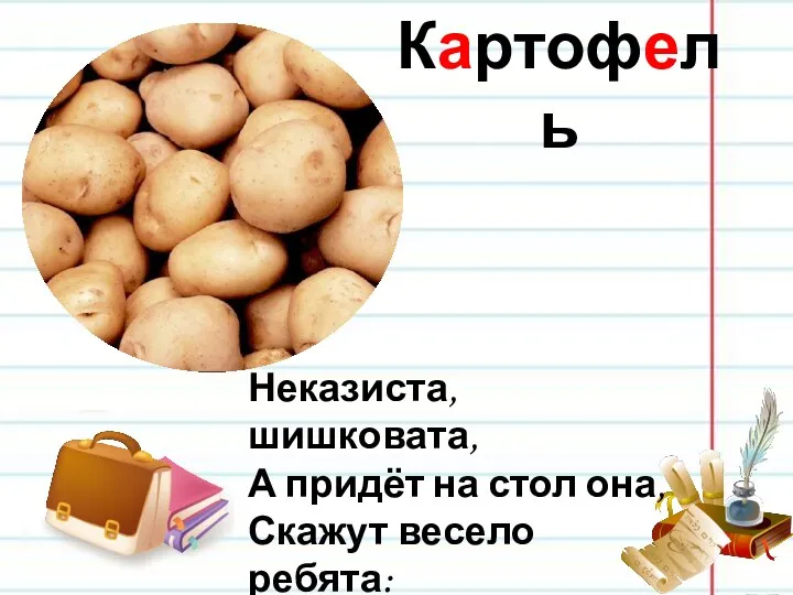 Картофель Неказиста, шишковата, А придёт на стол она, Скажут весело ребята: "Ну, рассыпчата, вкусна!"