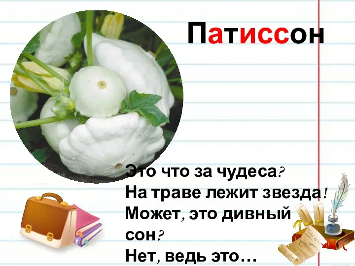 Патиссон Это что за чудеса? На траве лежит звезда! Может, это дивный сон? Нет, ведь это…