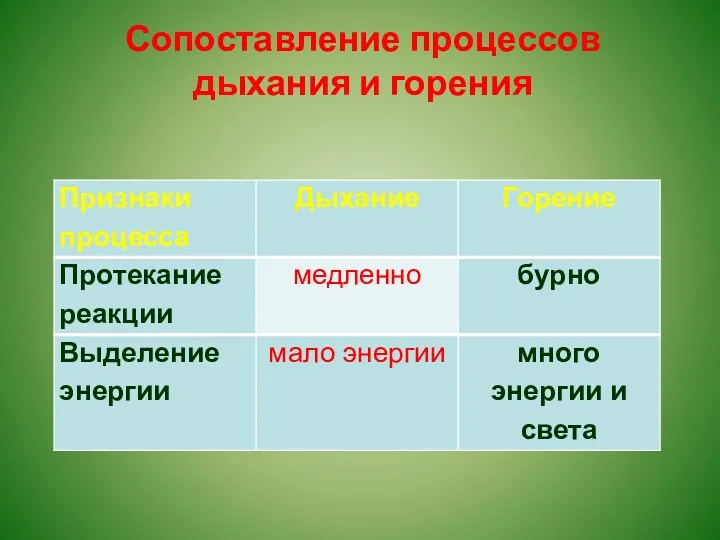 Сопоставление процессов дыхания и горения