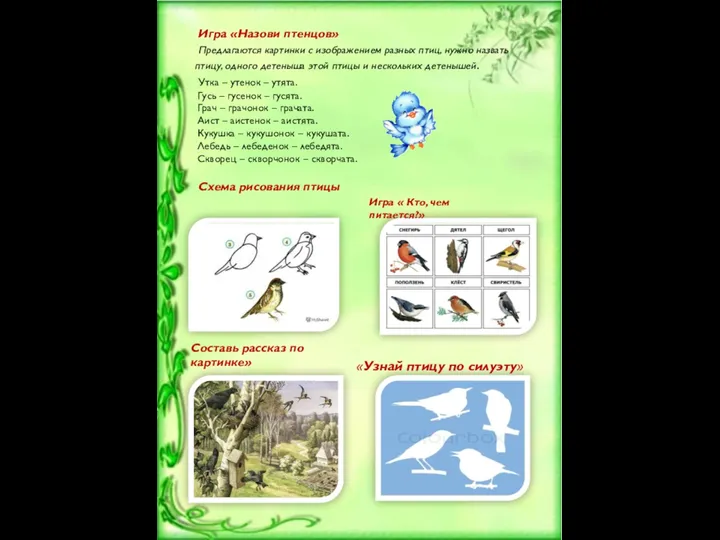 Игра «Назови птенцов» Предлагаются картинки с изображением разных птиц, нужно