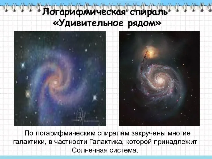 Логарифмическая спираль «Удивительное рядом» По логарифмическим спиралям закручены многие галактики, в частности Галактика,