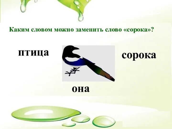 Каким словом можно заменить слово «сорока»? сорока птица она