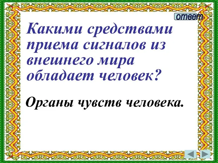 Органы чувств человека. Какими средствами приема сигналов из внешнего мира обладает человек?