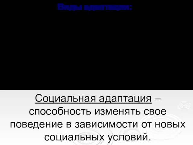 Биологическая адаптация – перестройка физиологических функций организма, обеспечивающая целесообразное приспособление