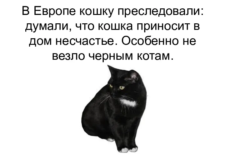 В Европе кошку преследовали: думали, что кошка приносит в дом несчастье. Особенно не везло черным котам.