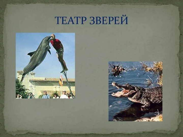 ТЕАТР ЗВЕРЕЙ