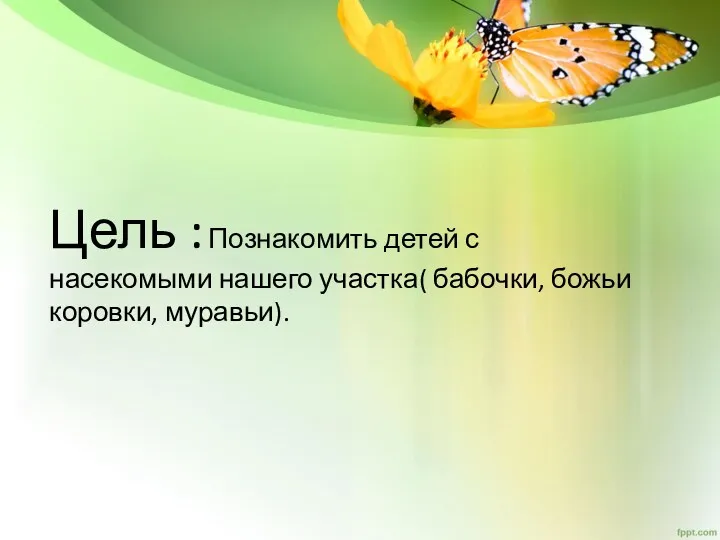 Цель : Познакомить детей с насекомыми нашего участка( бабочки, божьи коровки, муравьи).