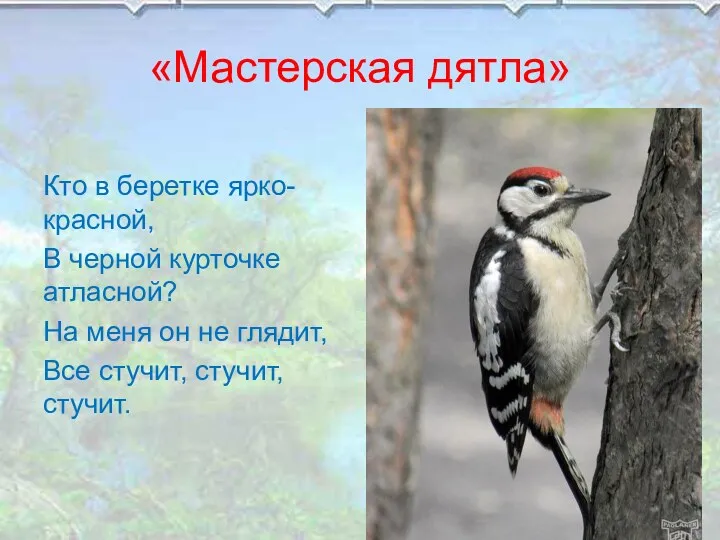 «Мастерская дятла» Кто в беретке ярко-красной, В черной курточке атласной?