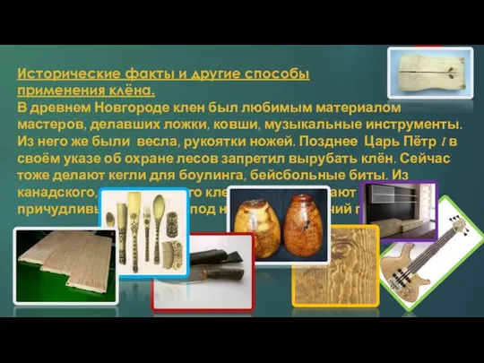 Исторические факты и другие способы применения клёна. В древнем Новгороде