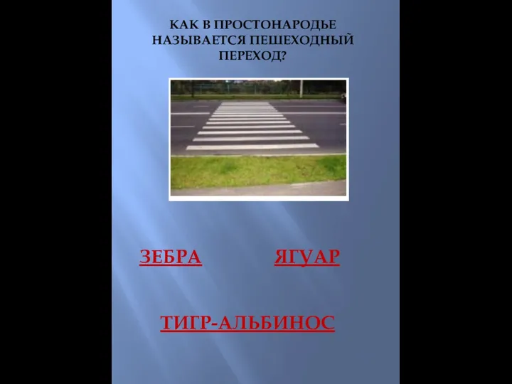 КАК В ПРОСТОНАРОДЬЕ НАЗЫВАЕТСЯ ПЕШЕХОДНЫЙ ПЕРЕХОД? ЗЕБРА ЯГУАР ТИГР-АЛЬБИНОС