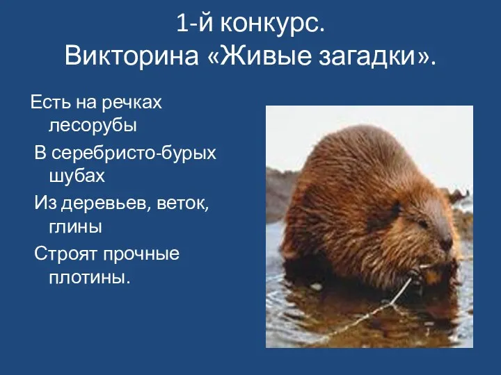 1-й конкурс. Викторина «Живые загадки». Есть на речках лесорубы В серебристо-бурых шубах Из