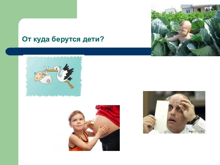 От куда берутся дети?