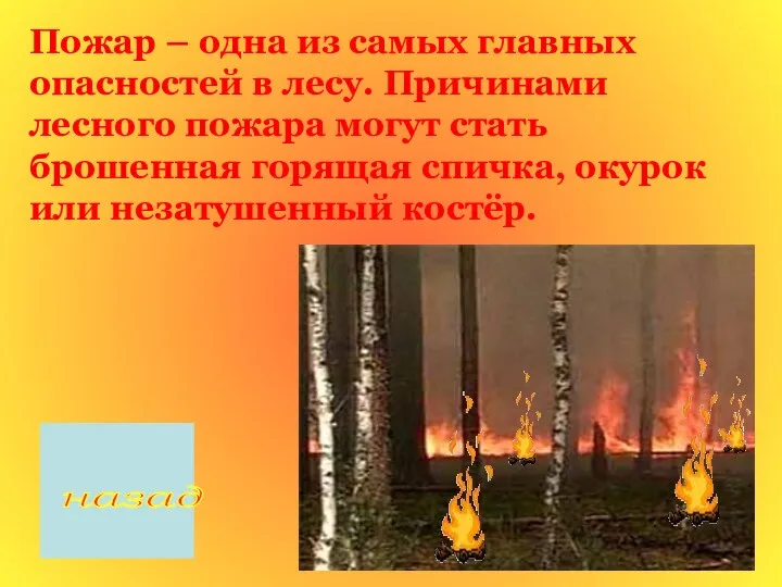 Пожар – одна из самых главных опасностей в лесу. Причинами лесного пожара могут