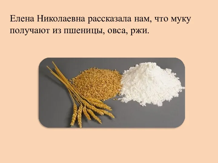 Елена Николаевна рассказала нам, что муку получают из пшеницы, овса, ржи.