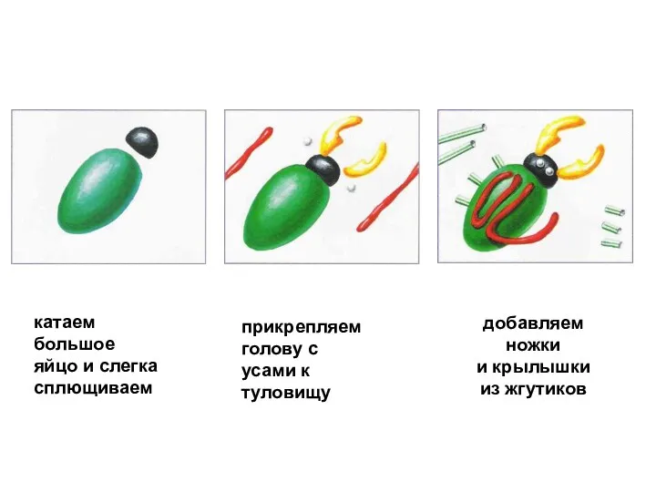 катаем большое яйцо и слегка сплющиваем прикрепляем голову с усами