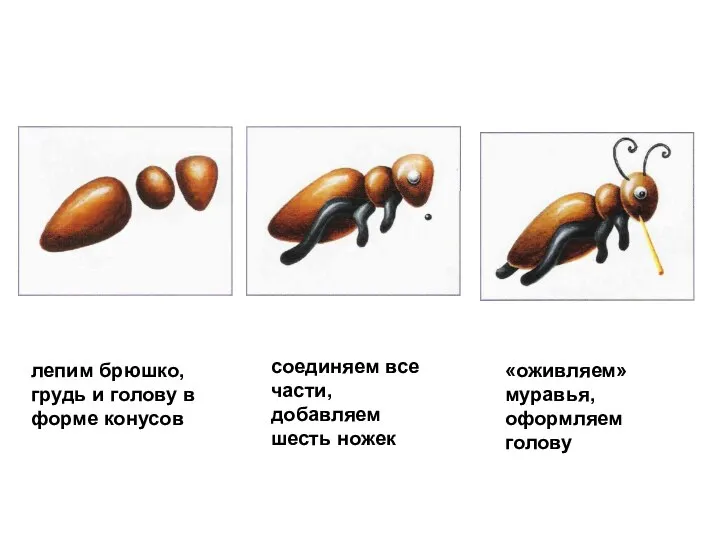 лепим брюшко, грудь и голову в форме конусов соединяем все части, добавляем шесть