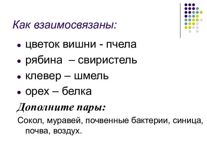 Как взаимосвязаны: цветок вишни - пчела рябина – свиристель клевер