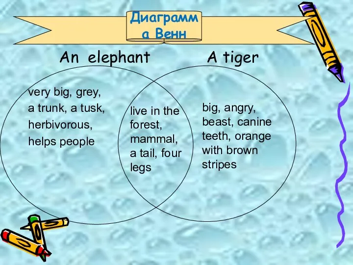 An elephant A tiger very big, grey, a trunk, a tusk, herbivorous, helps