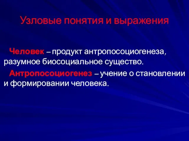 Узловые понятия и выражения Человек – продукт антропосоциогенеза, разумное биосоциальное