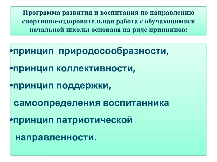 принцип природосообразности, принцип коллективности, принцип поддержки, самоопределения воспитанника принцип патриотической