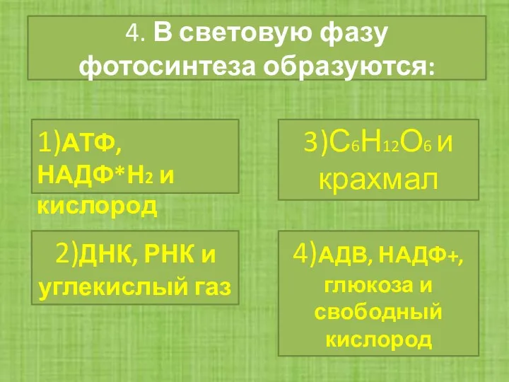 4. В световую фазу фотосинтеза образуются: 1)АТФ, НАДФ*Н2 и кислород