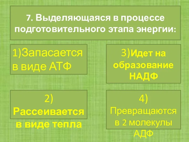 7. Выделяющаяся в процессе подготовительного этапа энергии: 1)Запасается в виде